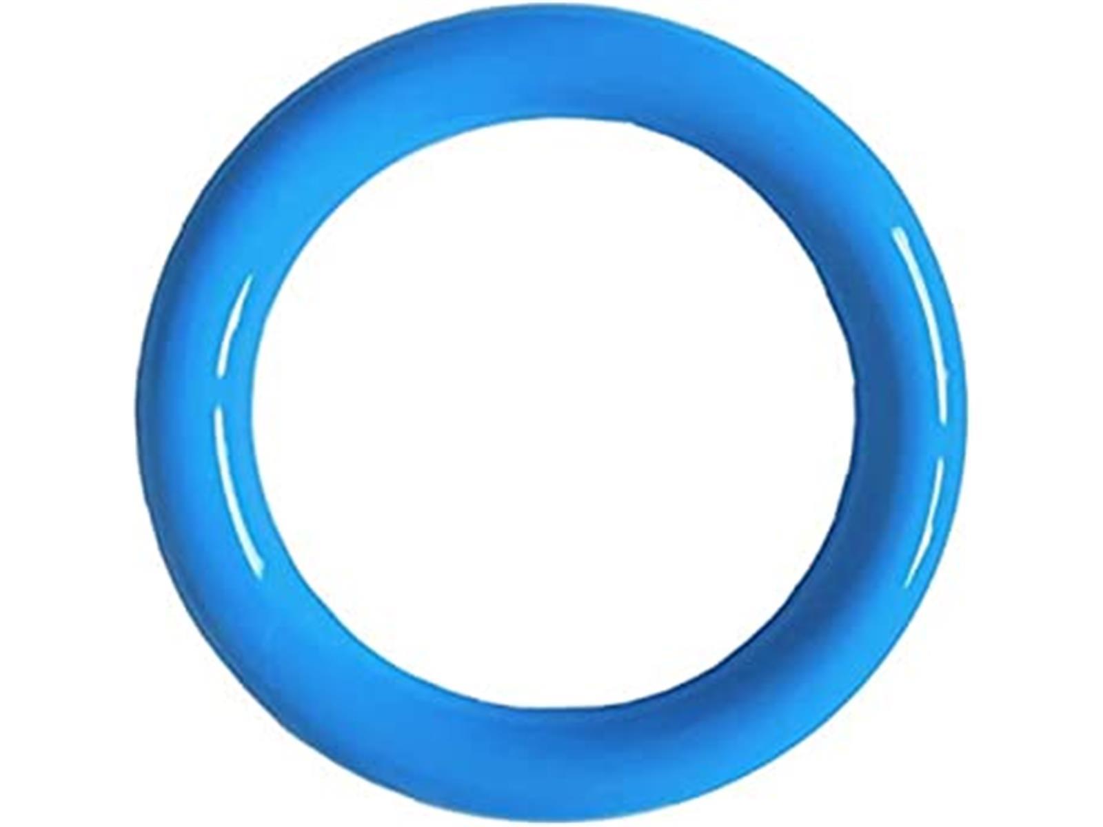 TauchringGlatt_Blau.jpg