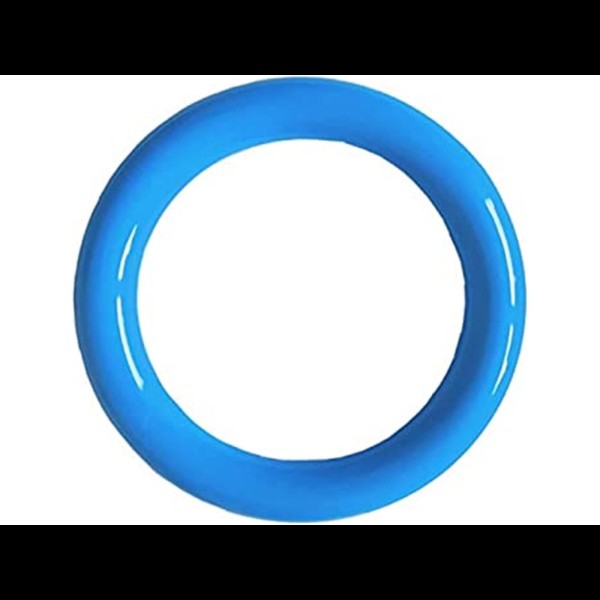 TauchringGlatt_Blau.jpg