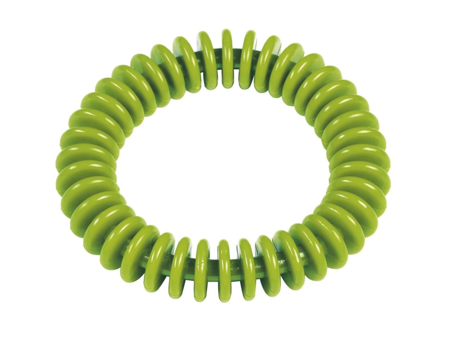 TauchringLamelle_grün.jpg